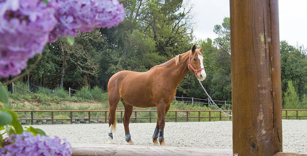Country House Casal Cerqueto