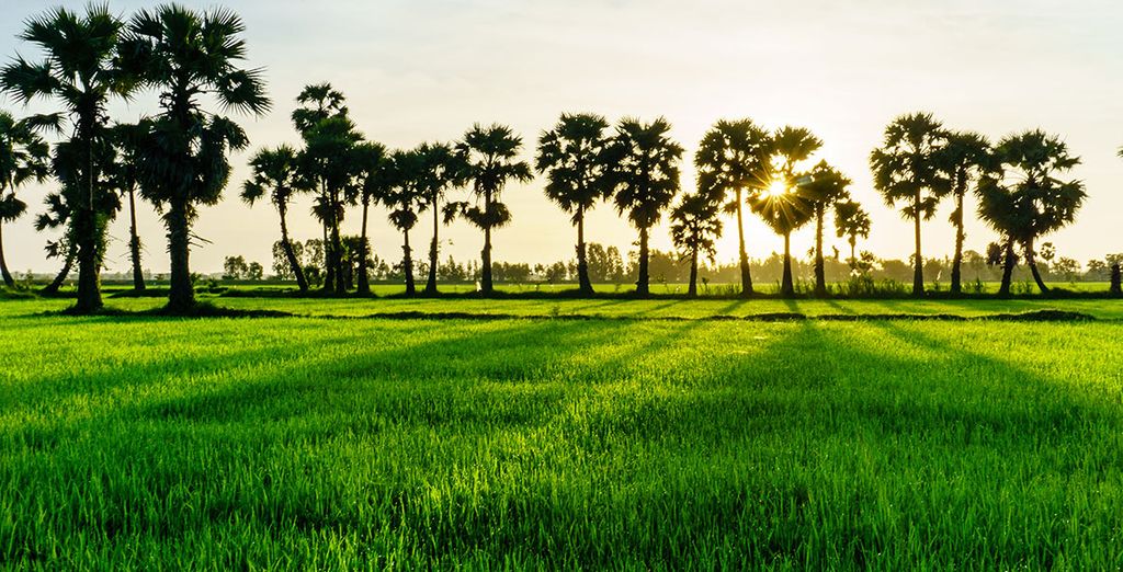 Vietnam e Cambogia in tour