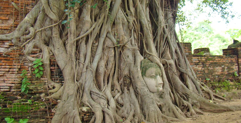 Da Bangkok a Chiang Mai in tour 7 notti e soggiorno mare a Koh Samui in 4*
