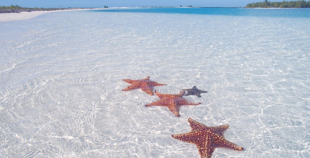Hotel Voi Victoria 4* o similare & Cayo Levisa 4*