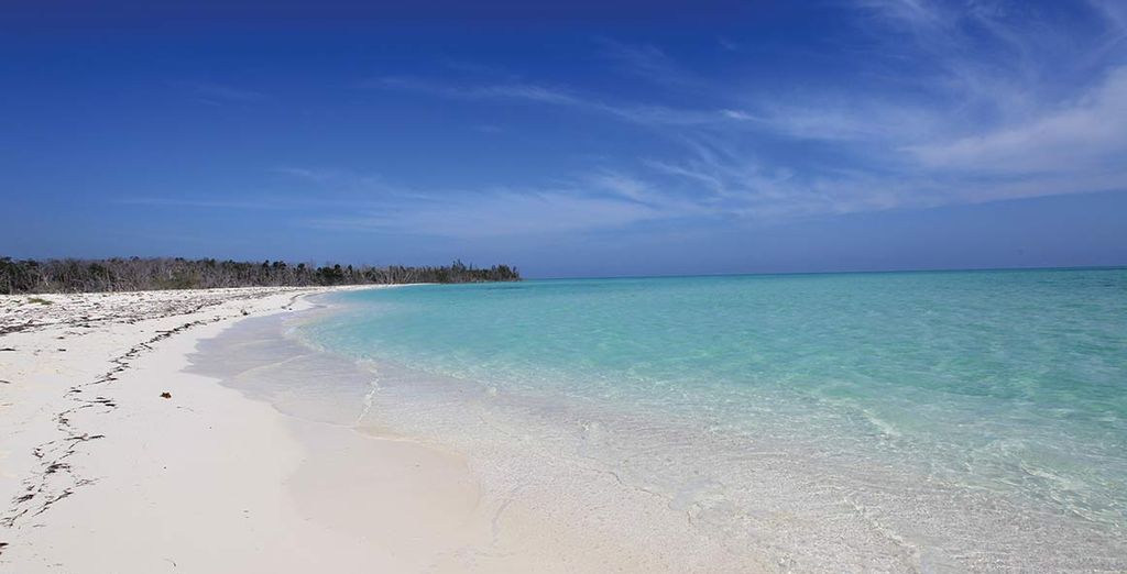 Hotel Voi Victoria 4* o similare & Cayo Levisa 4*