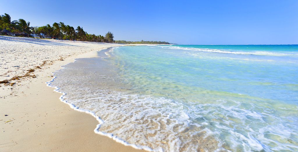 Neptune Beach Resort 4* & Neptune Village Beach Resort & spa Hotel 4* + Safari