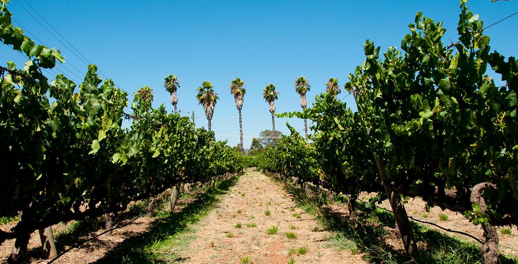 Alla scoperta dell'Australia in hotel 4* in 9 o 14 notti