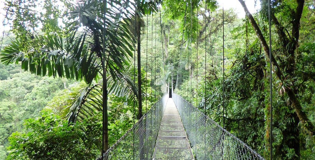 Alla scoperta del Costa Rica da San José a Turrialba