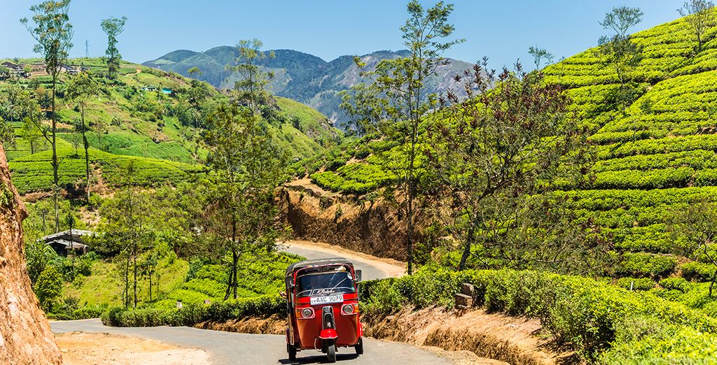 Minitour Sri Lanka + Sun Island Resort & Spa 4*