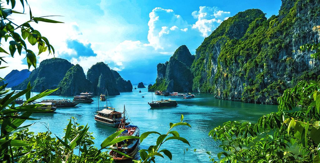 Paesaggi vietnamiti, isole verdi e acque turchesi
