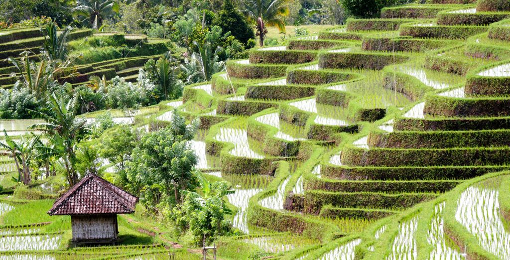 Bali, Lombok, Gili in Tour 