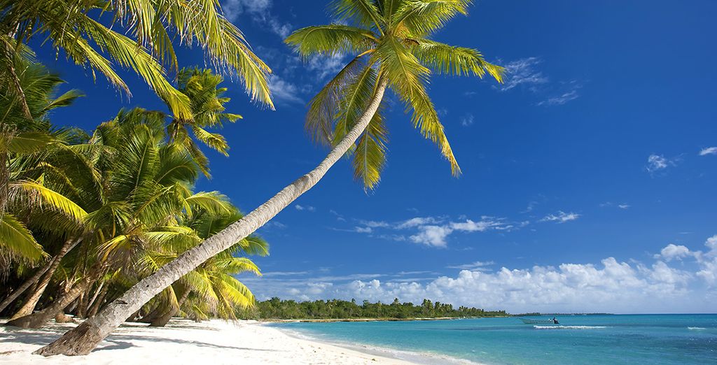 Sunscape Dominican Beach Punta Cana 4*