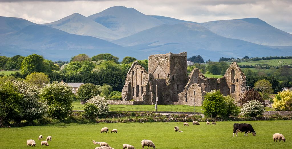 Paesaggio e storia della fotografia irlandese
