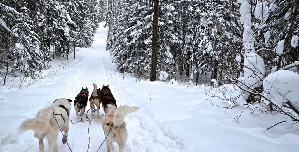 Montrèal, Quebec City e multiattività al Fiordo di Saguenay