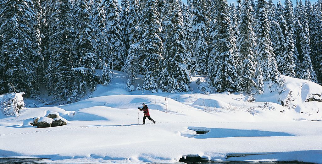 Montrèal, Quebec City e multiattività al Fiordo di Saguenay