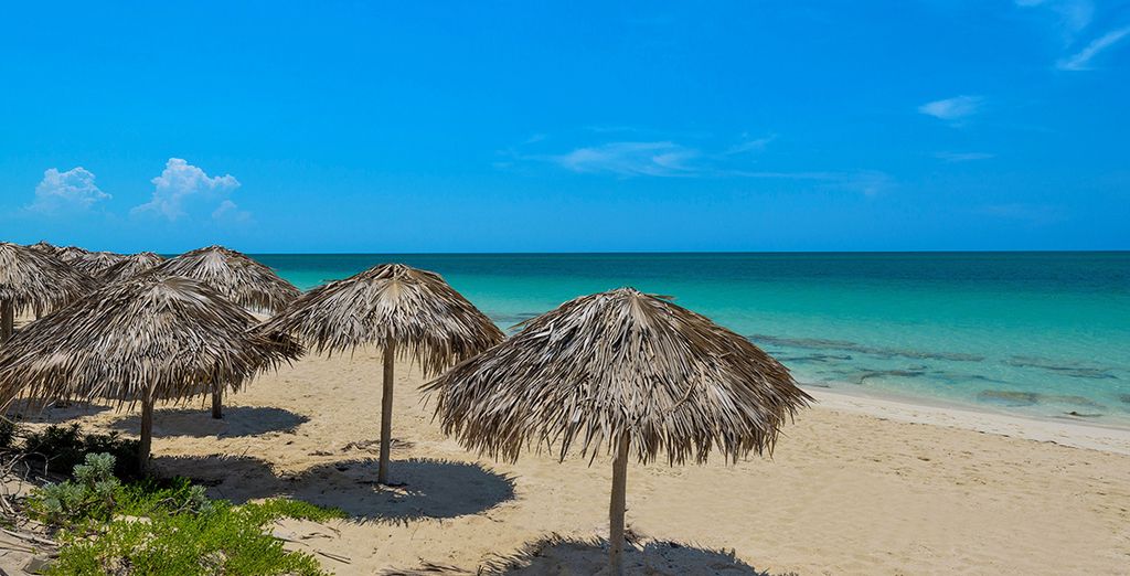 L'Avana in casa particular + Golden Tulip Aguas Claras Cayo Santa Maria 4*S