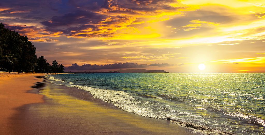 Mai House Patong Hill 5* & Holiday Inn Phi Phi Island 4* & The Waters  Khao Lak 4*