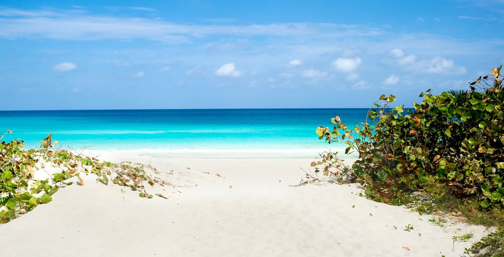 L'Avana in Casa Particular + Valentin Perla Blanca 4*S Cayo S. Maria - Adults Only