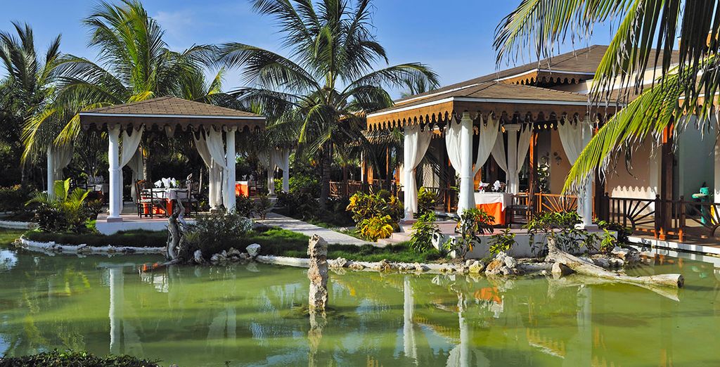 Casas Particulares a L'Avana + Melia Las Dunas Cayo S. Maria 5*