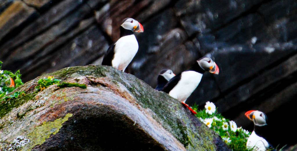 La costa norvegese con Hurtigruten - Speciale Estate 2019