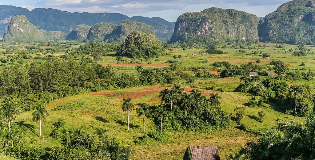 Casas Particulares a L'Avana e Vinales & Paradisus Princesa de Mar 5* - Adults only