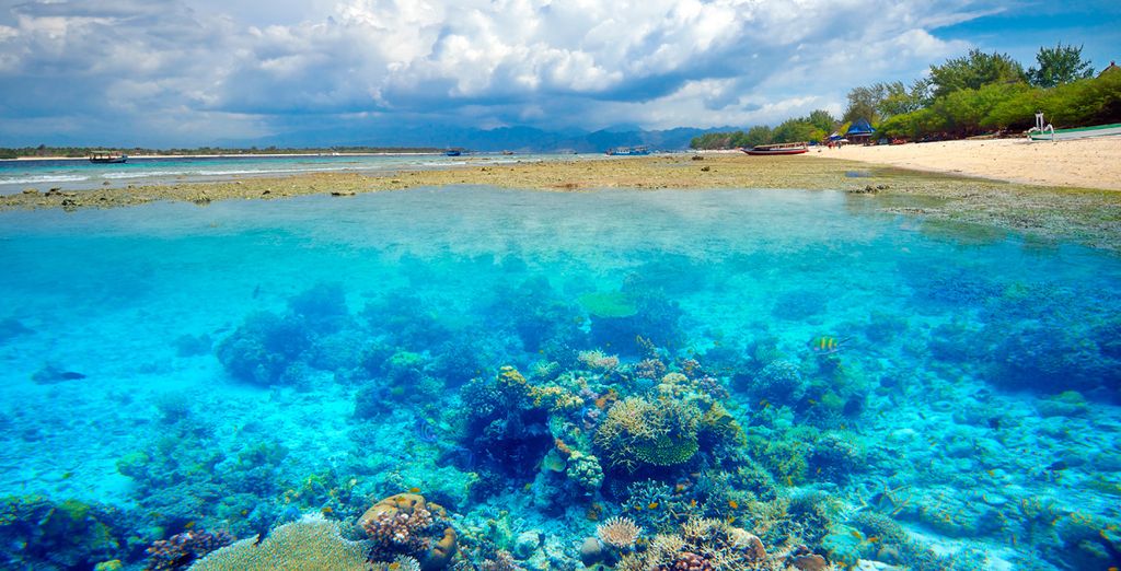 Sthala, a Tribute Portfolio Hotel 5* + Adiwana d'Nusa Beach Club and Resort 4* + Anema Wellness & Resort 5* + Mövenpick Resort & Spa 5*