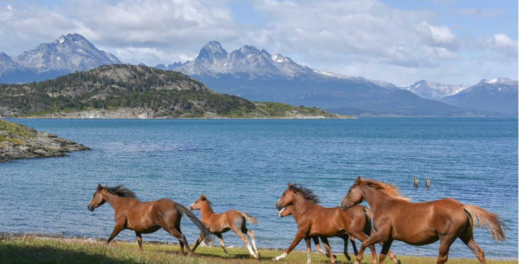 Alla scoperta di Argentina e Patagonia con possibile estensione a Iguazu