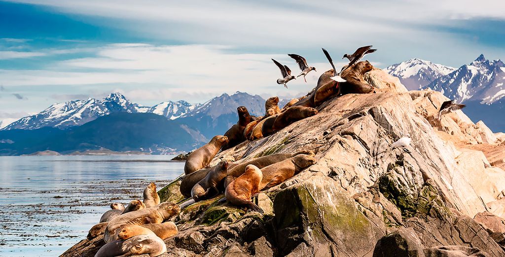 Alla scoperta di Argentina e Patagonia con possibile estensione a Iguazu