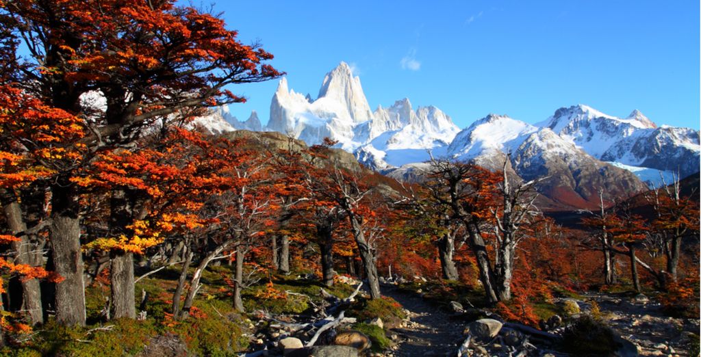 Alla scoperta di Argentina e Patagonia con possibile estensione a Iguazu