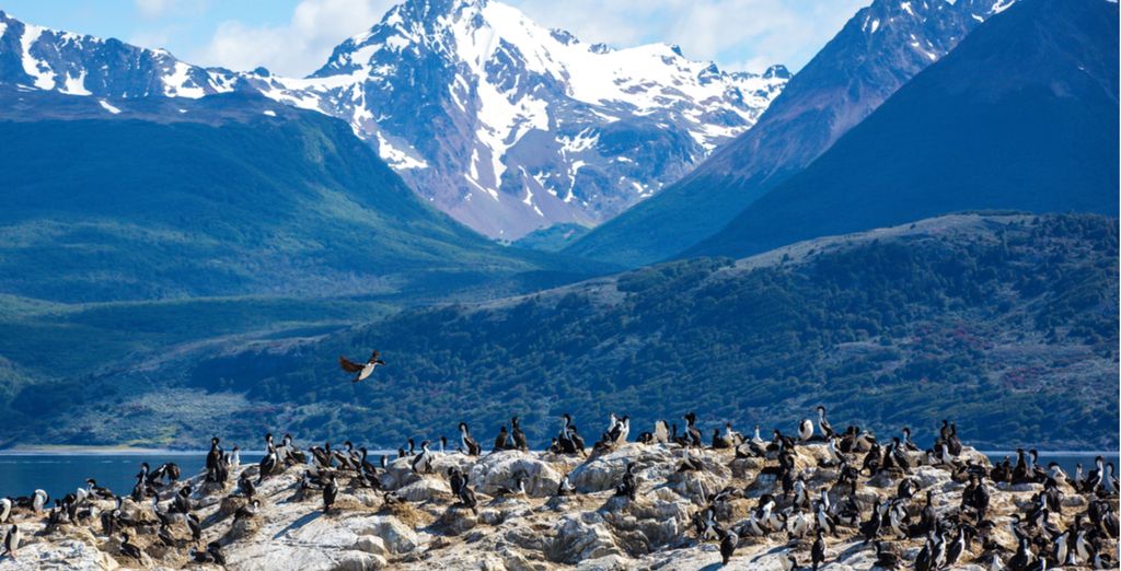 Alla scoperta di Argentina e Patagonia con possibile estensione a Iguazu