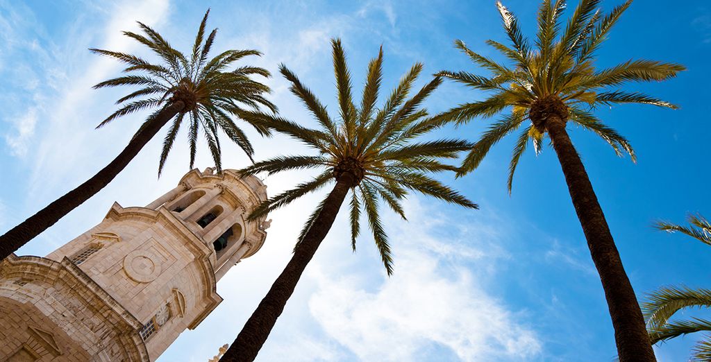 Tour guidato alla scoperta dell'Andalusia