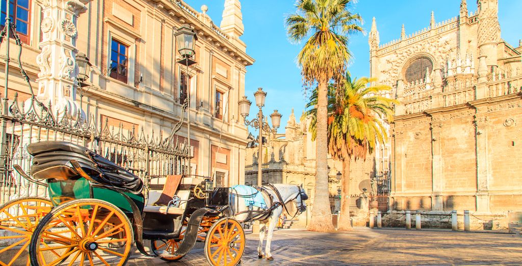 Tour guidato alla scoperta dell'Andalusia
