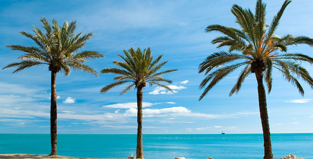 Tour guidato alla scoperta dell'Andalusia