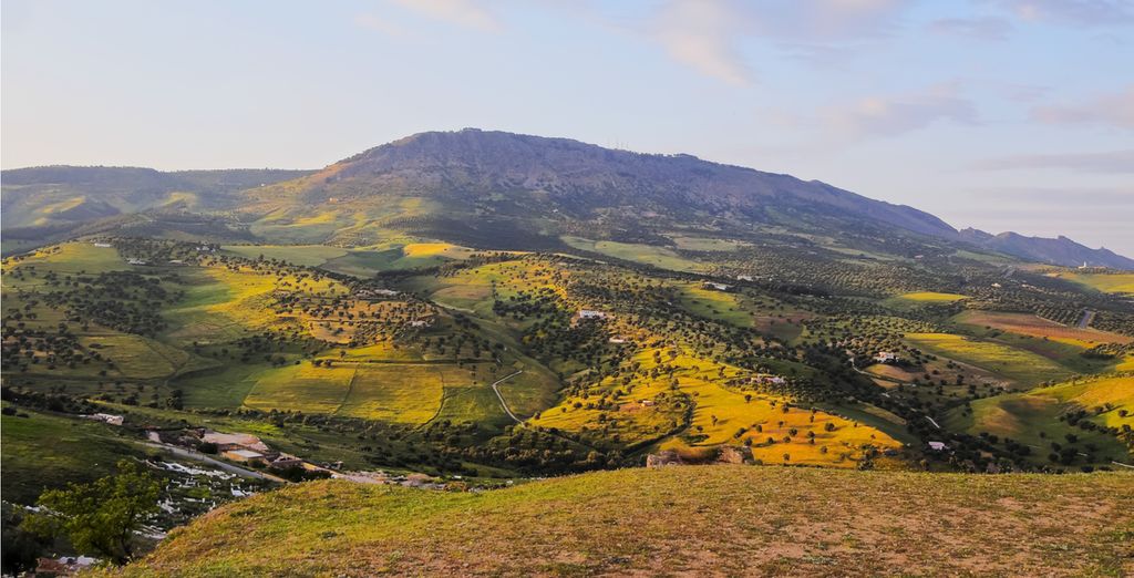 Tour del Marocco e delle città imperiali