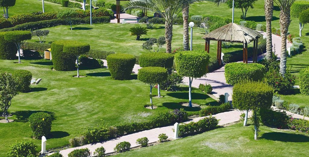 Ciao Club Coral Sea Holiday Resort 5*