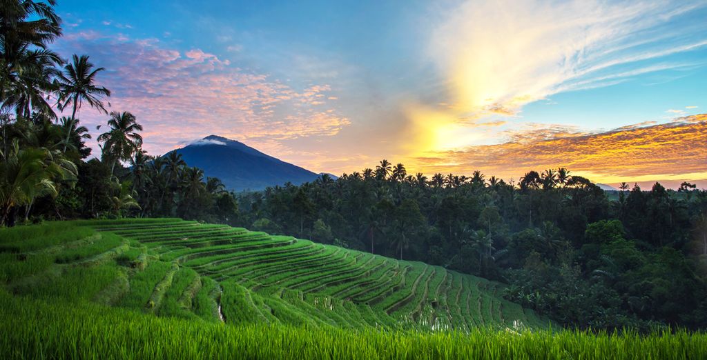 Ubud Wana Resort 4* + Artotel Sanur 4* + Anja Jimbaran 4*