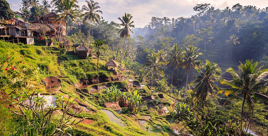 Ubud Wana Resort 4* + Artotel Sanur 4* + Anja Jimbaran 4*