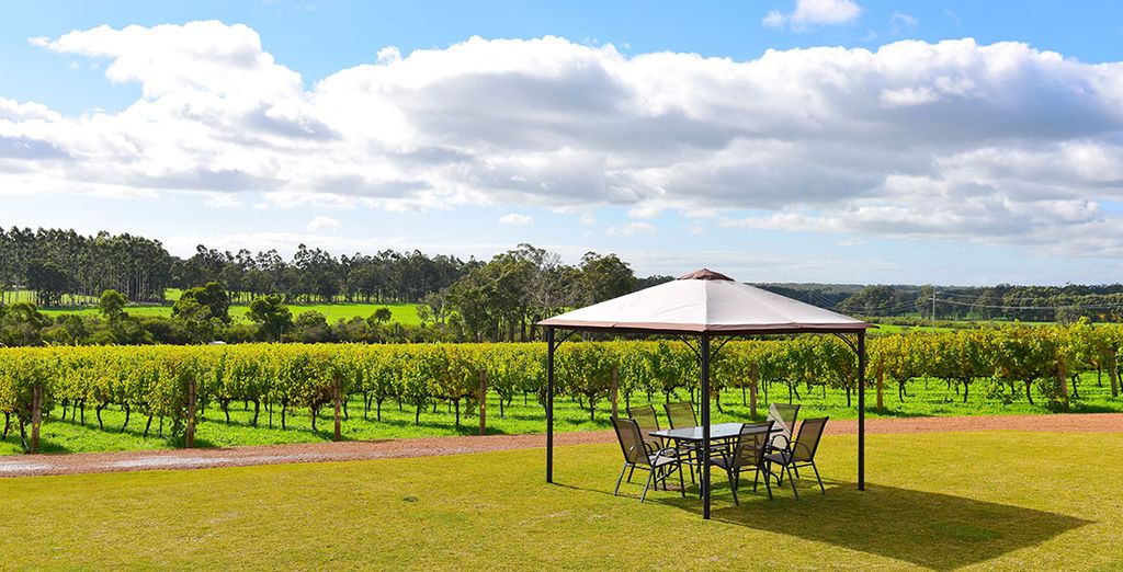 Tour alla scoperta dell'Australia del Sud