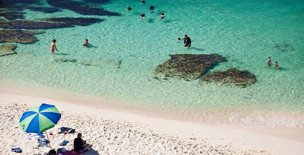 Tour alla scoperta dell'Australia del Sud