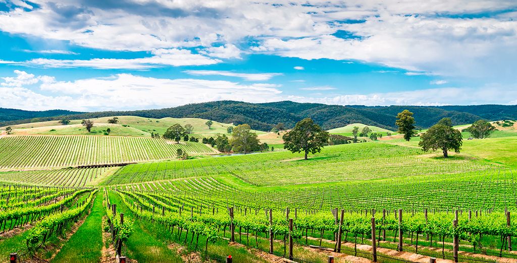 Tour alla scoperta dell'Australia del Sud