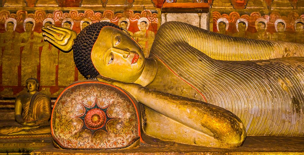 Tour dello Sri Lanka in 8 o 10 notti