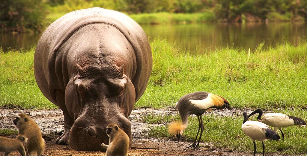 Tour tra il meglio del Kenya