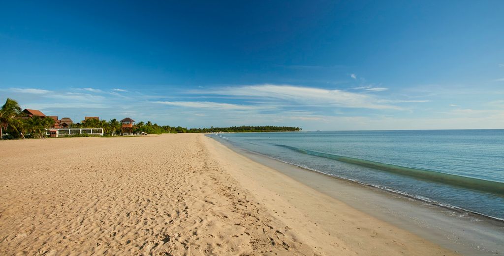 Tour dello Sri Lanka con possibile estensione mare