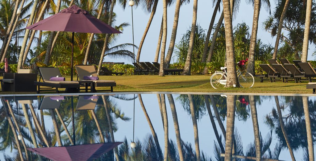Tour Sri Lanka in hotel 4* + Avani Bentota Resort 5* 