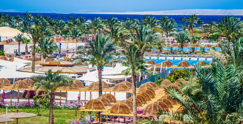 Crociera sul Nilo + Desert Rose Resort Hurghada 5*