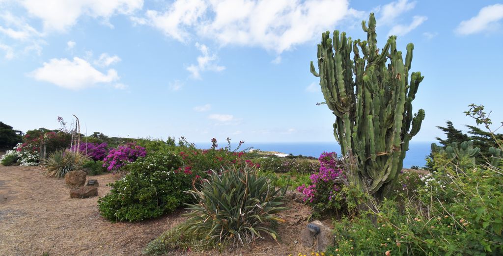 Dammusi comfort vista mare
