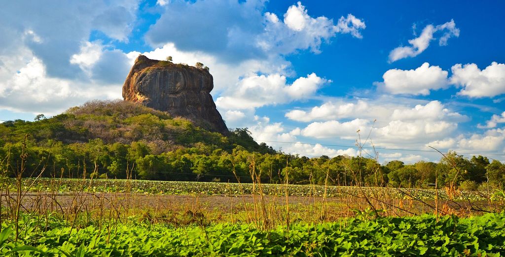 Speciale Capodanno - Tour Sri Lanka con estensione Mare