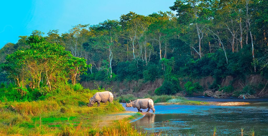 Tour privato del Nepal