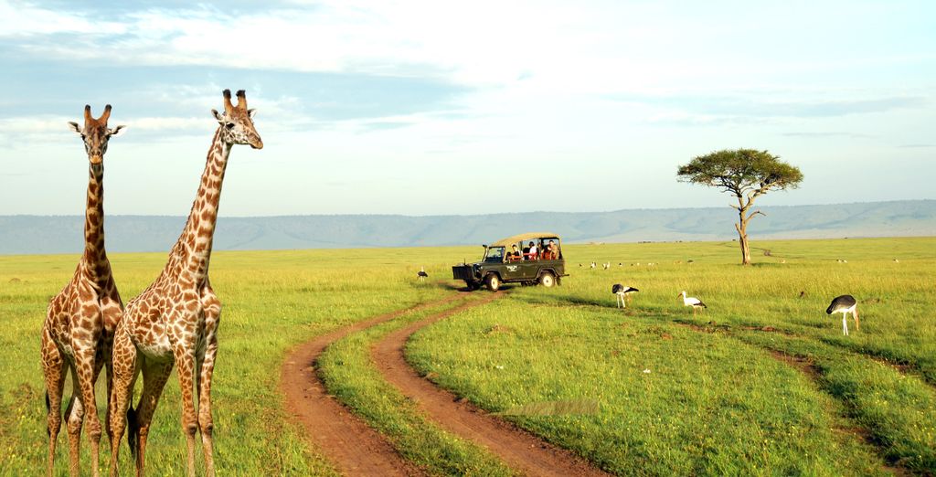Safari privato Tsavo East e Ovest
