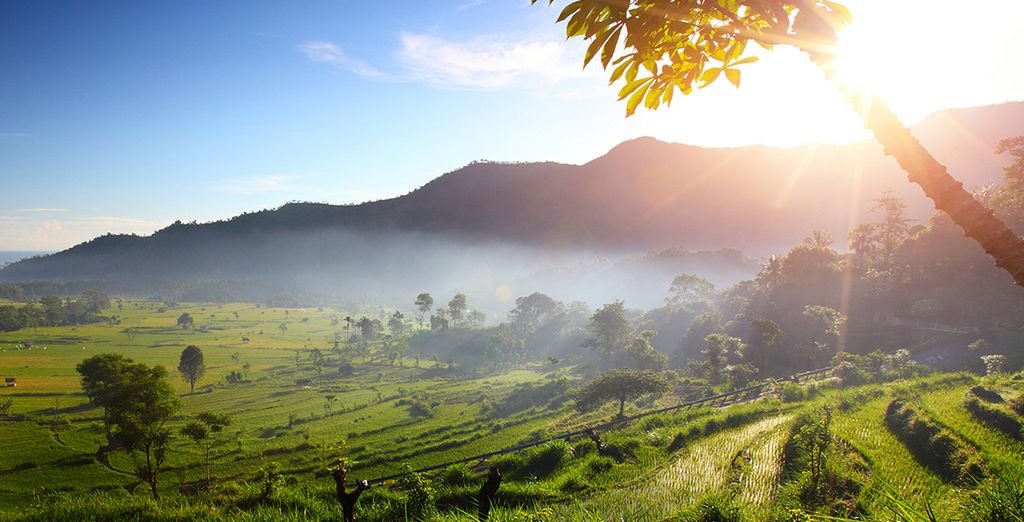 Soggiorno 4* a Ubud & Bali Dynasty Resort 4* a Kuta