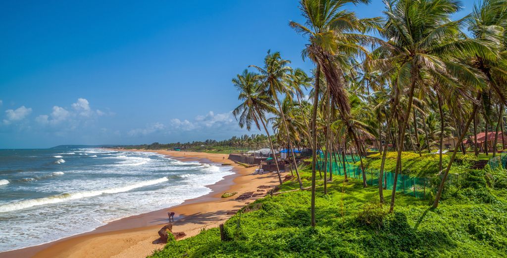 Il fascino del Rajasthan ed estensione mare a Goa