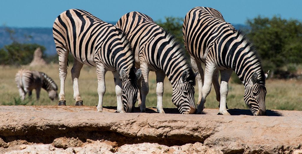 Tour Namibia Adventure
