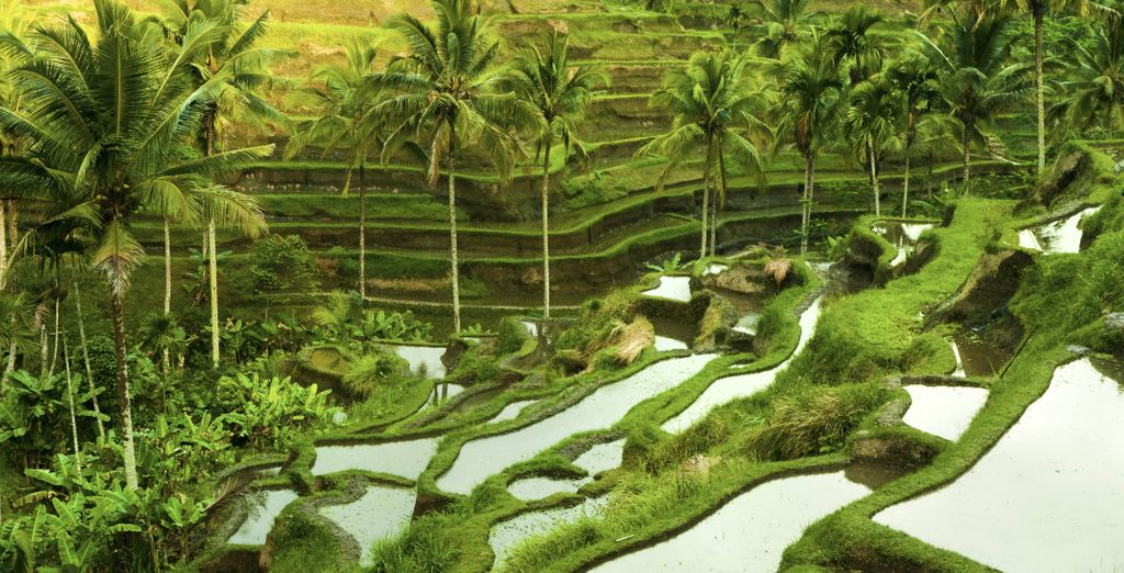 Le perle dell'Indonesia con possibile soggiorno a Singapore