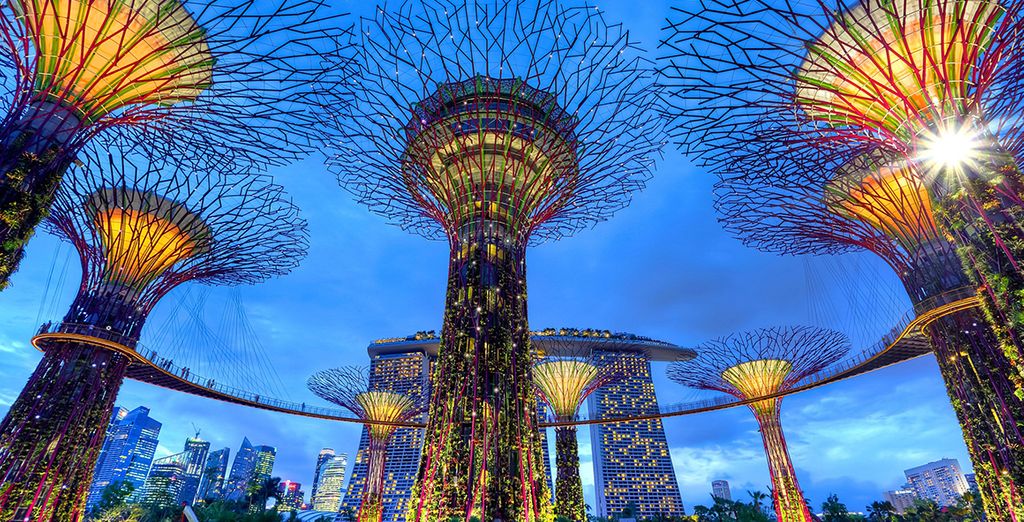 Tour Abu Dhabi + Singapore + Bali
